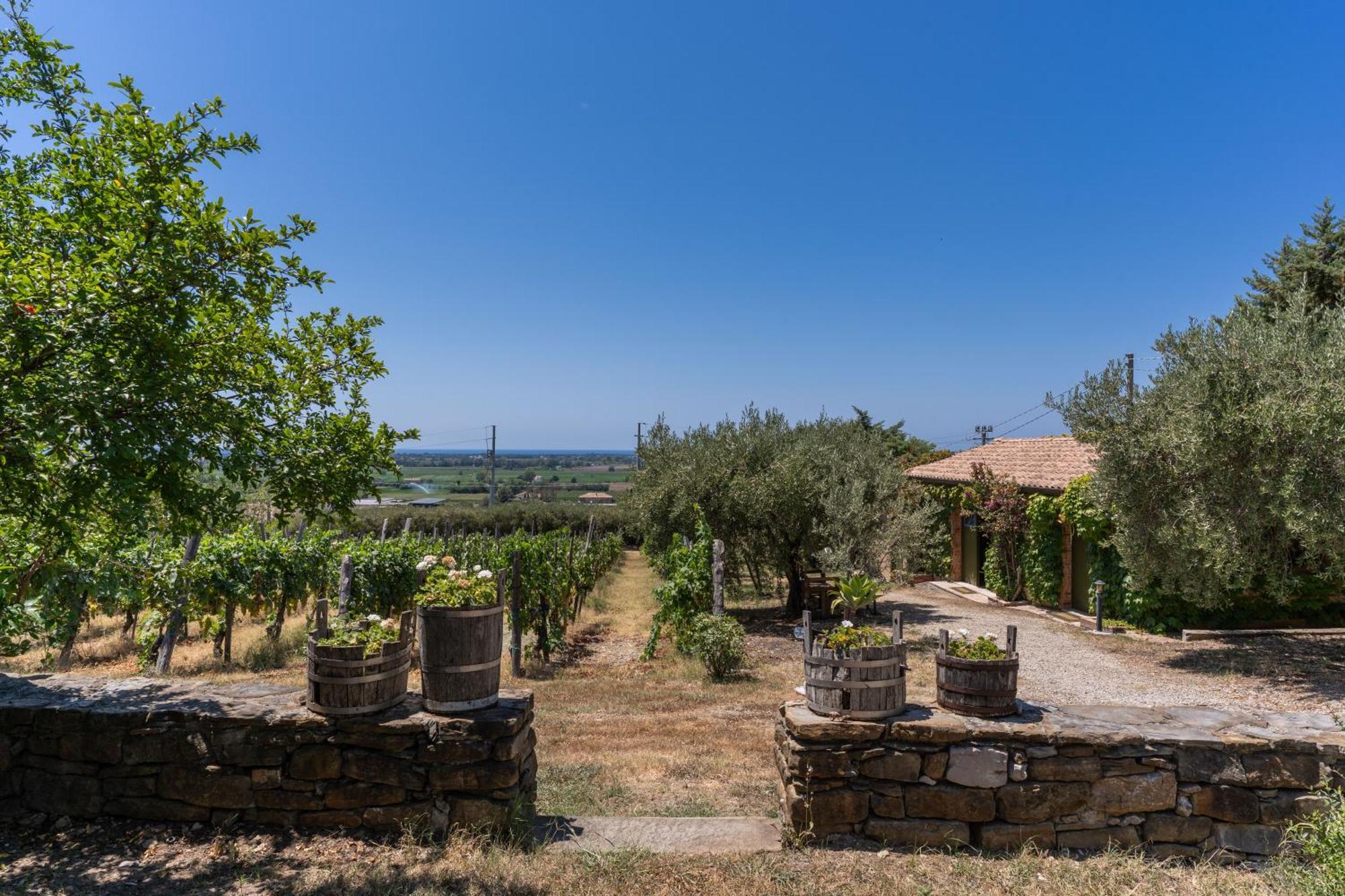 Casale Giancesare Villa Agricola Capaccio Esterno foto